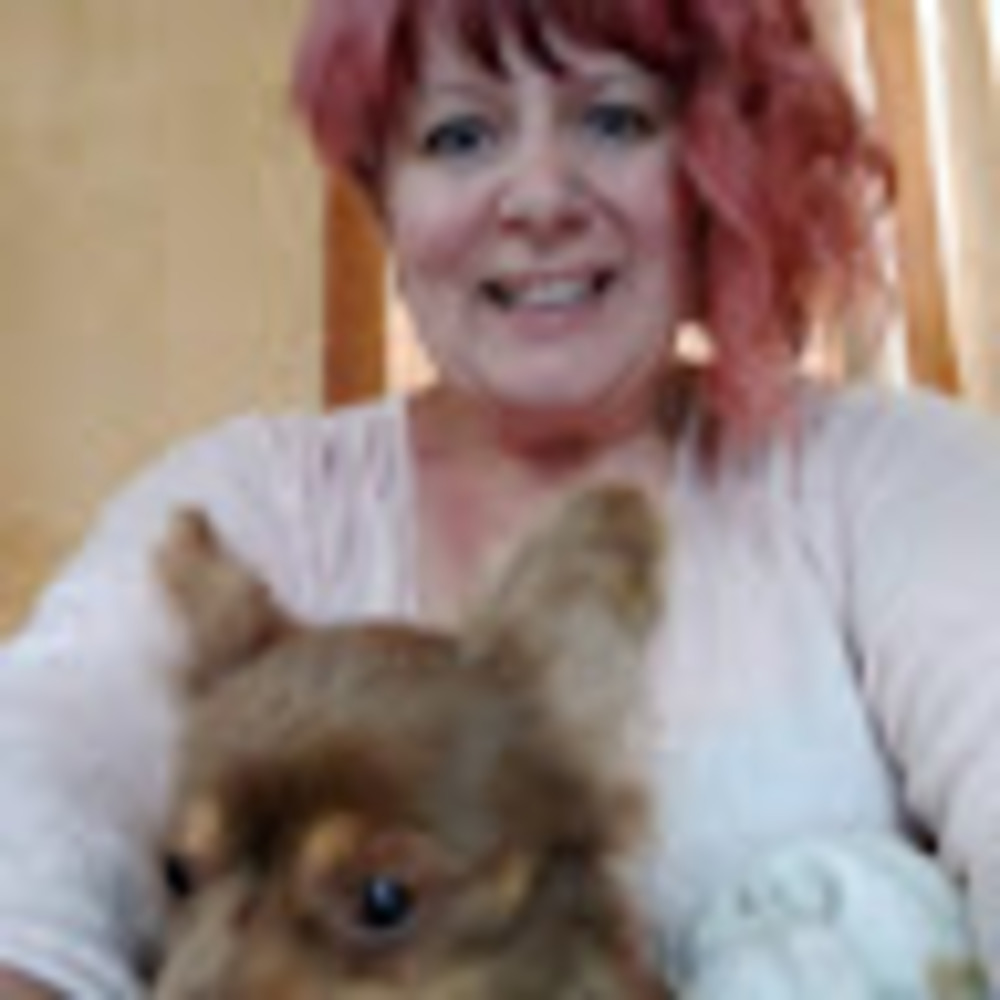 Meet your Posher, Piper